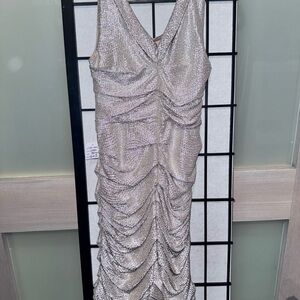 Elegant Silver Ruched Dress